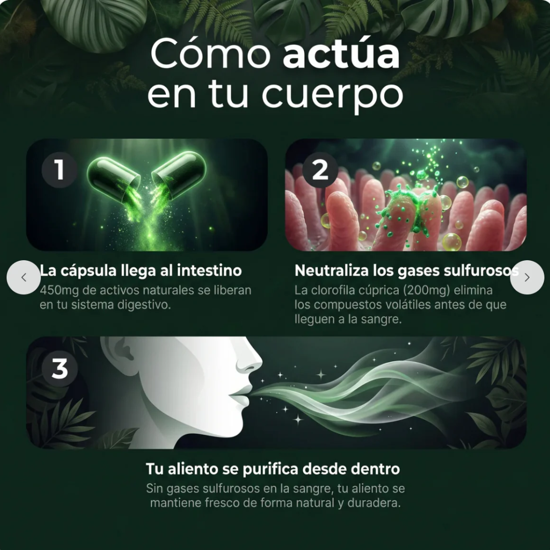 OdorZero - Cápsulas Intestinales · Acabá con el olor de raíz